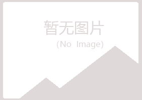 龙岗区夏青采矿有限公司